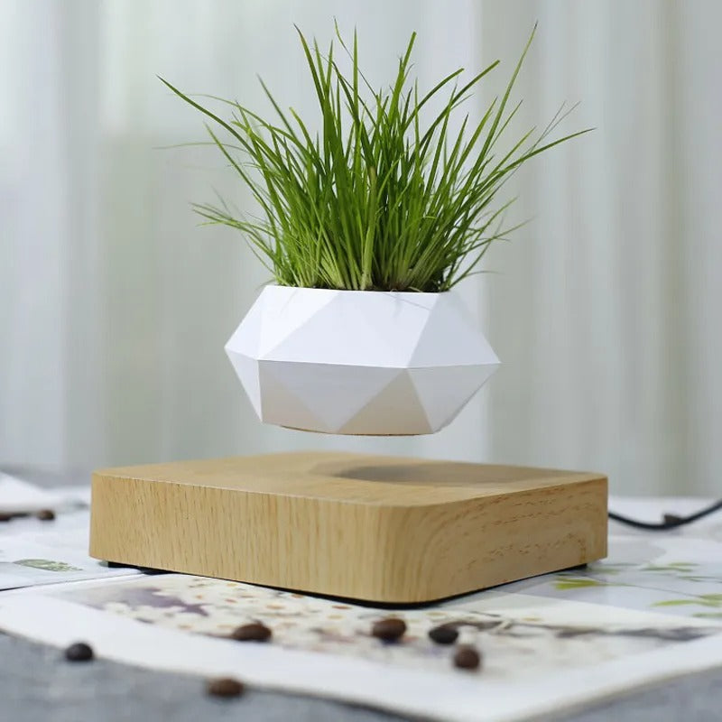 Levitating Bonsai Plant Pot