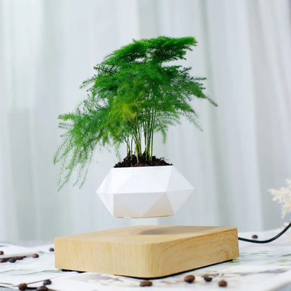 Levitating Bonsai Plant Pot